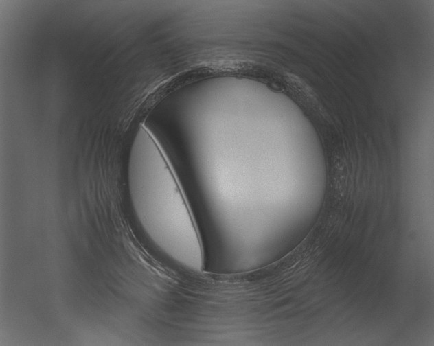 X0000052920596200507080803