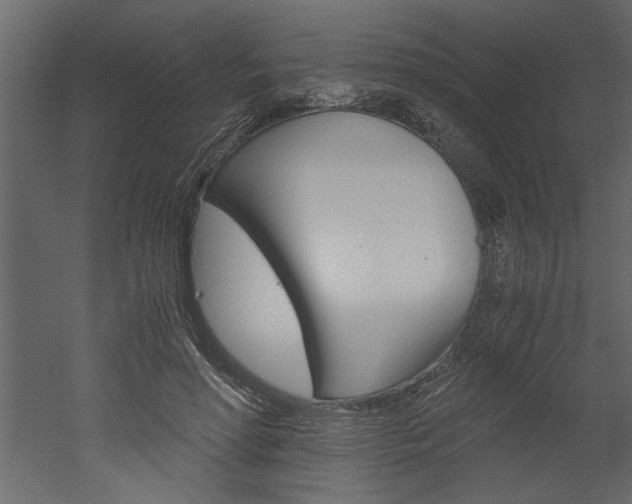 X0000052920598200507080802