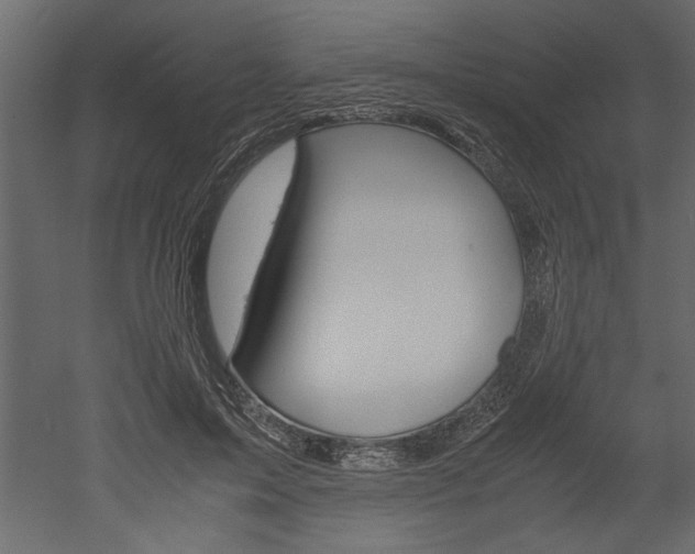 X0000052920599200507080802