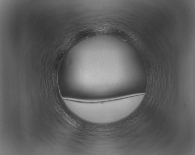 X0000052920601200507080802