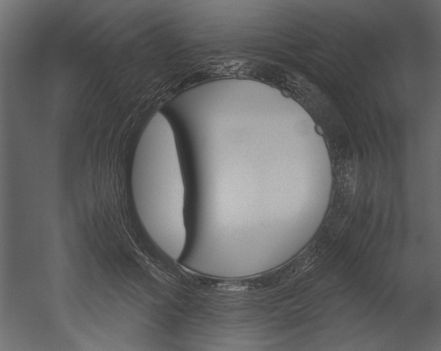 X0000052920602200507080802
