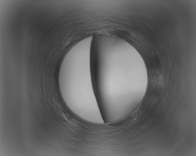 X0000052920603200507080802