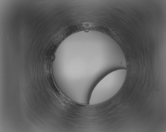 X0000052920606200507080802