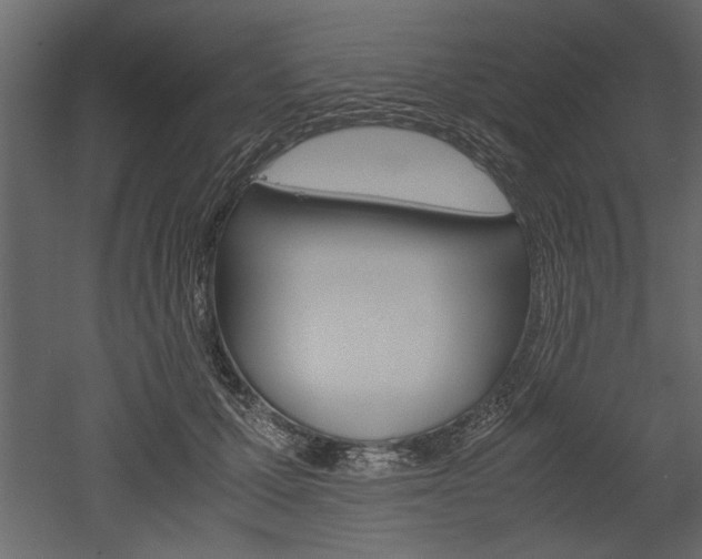 X0000052920607200507080802