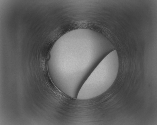 X0000052920610200507080802