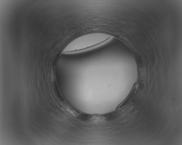 X0000052920617200507080802