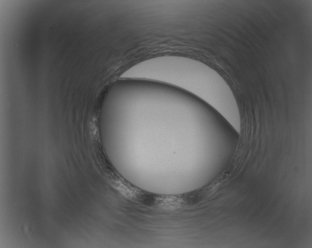 X0000052920621200507080802