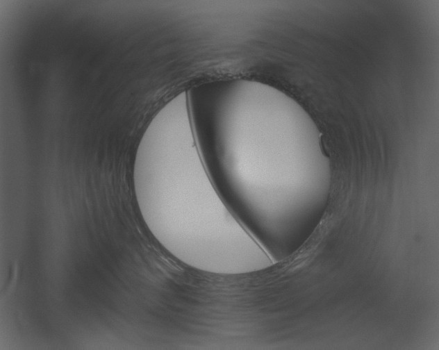 X0000052920624200507080802