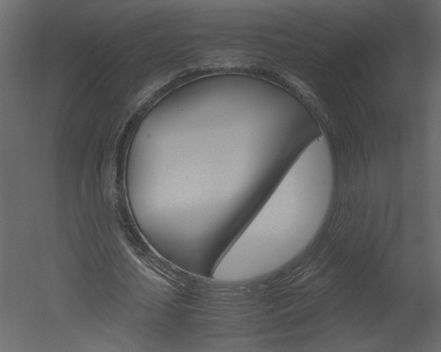 X0000052920627200507080801