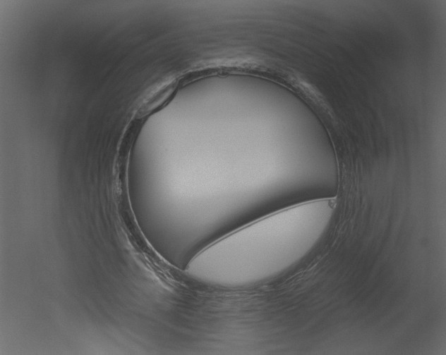 X0000052920628200507080801