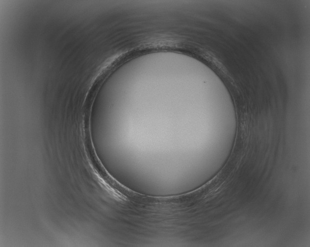 X0000052920629200507080801