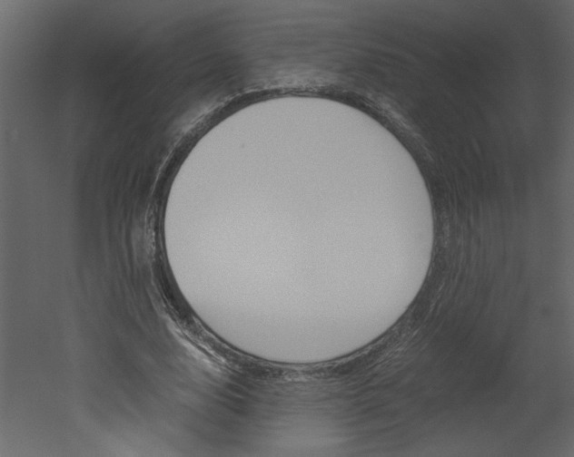 X0000052920632200507080801
