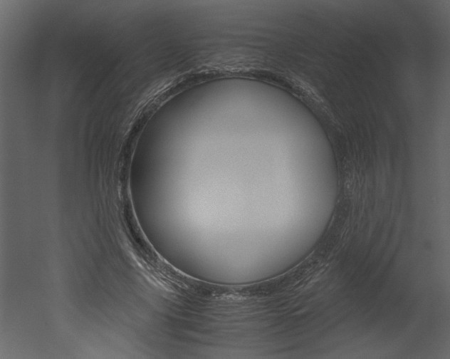 X0000052920635200507080801