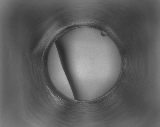X0000052920636200507080801