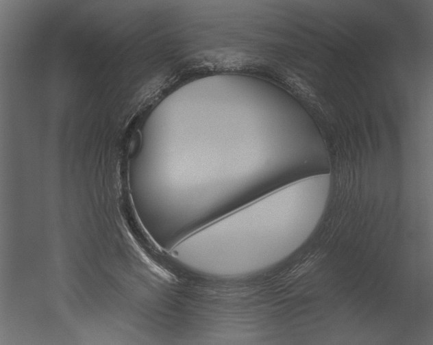 X0000052920638200507080801