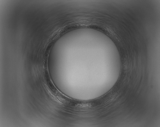 X0000052920639200507080801