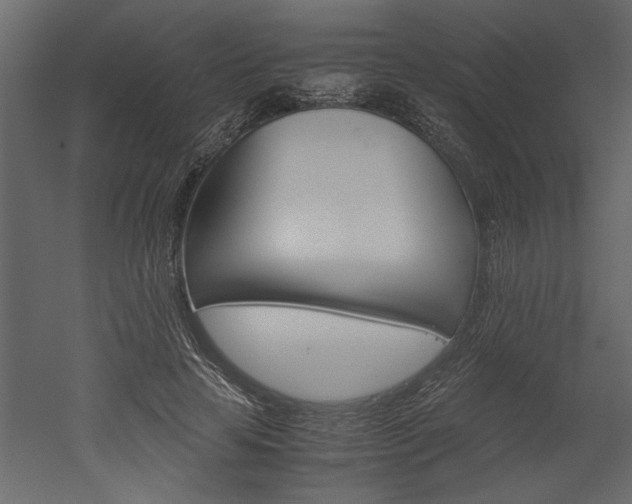 X0000052920641200507080802