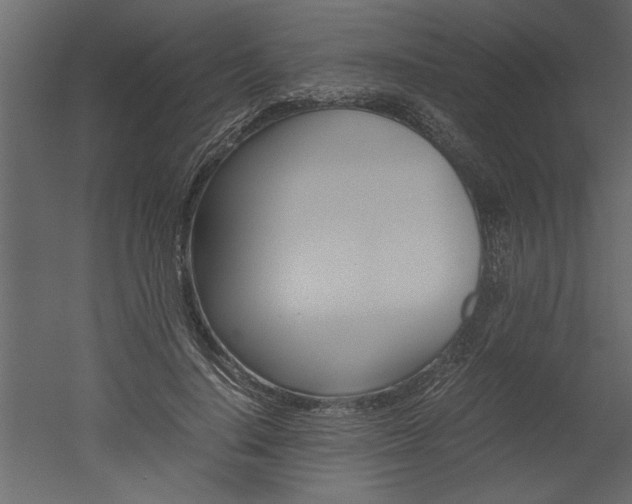 X0000052920644200507080802