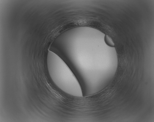 X0000052920645200507080802