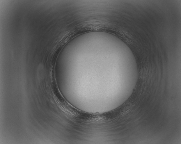 X0000052920646200507080802
