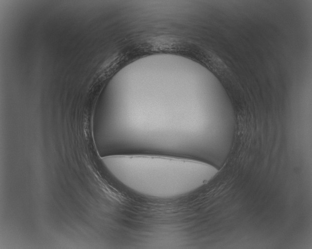 X0000052920648200507080802