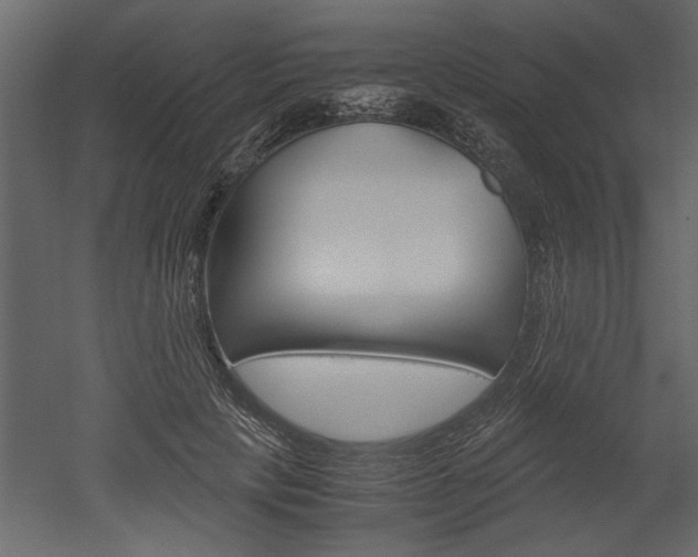 X0000052920649200507080802
