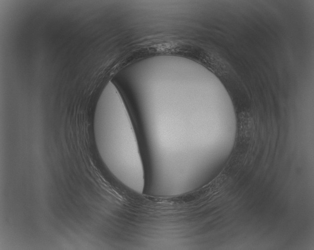 X0000052920650200507080802