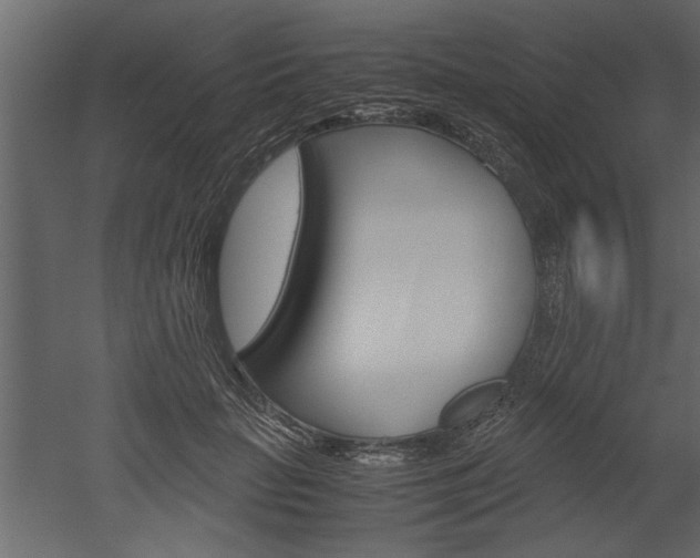 X0000052920653200507080802