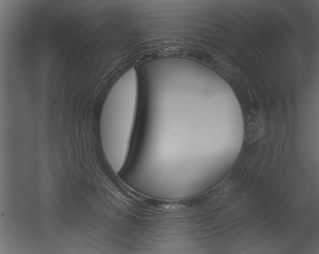 X0000052920654200507080802