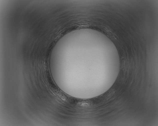 X0000052920655200507080802