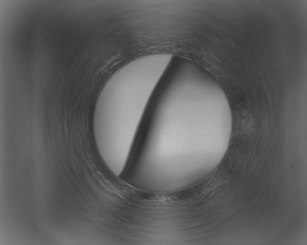 X0000052920656200507080802