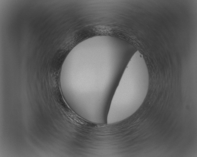X0000052920658200507080802