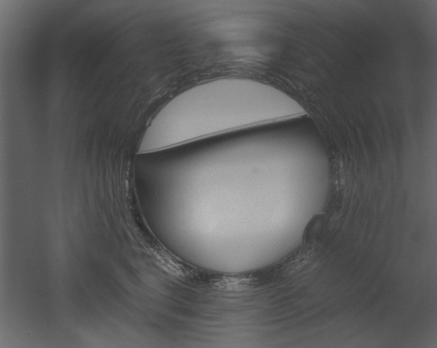 X0000052920664200507080802