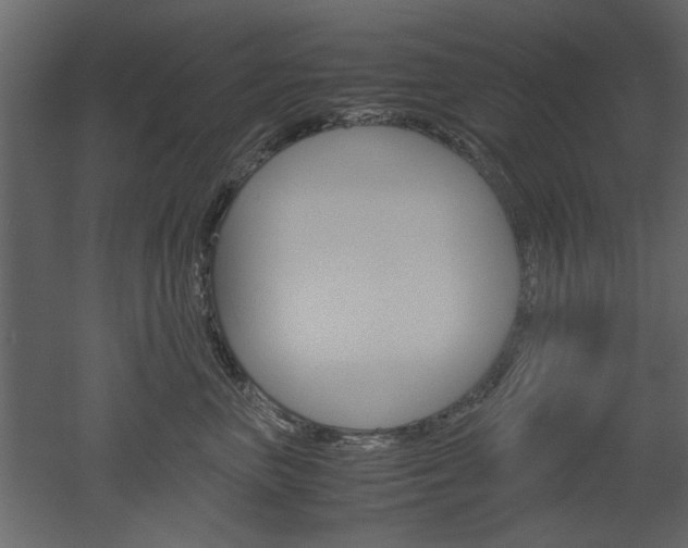 X0000052920667200507080802