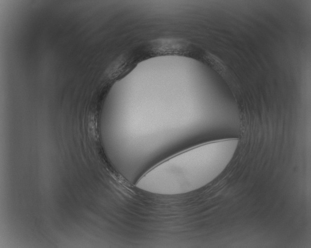X0000052920669200507080802
