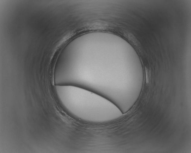 X0000052920675200507080801