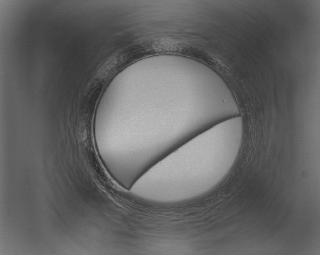 X0000052920687200507080801