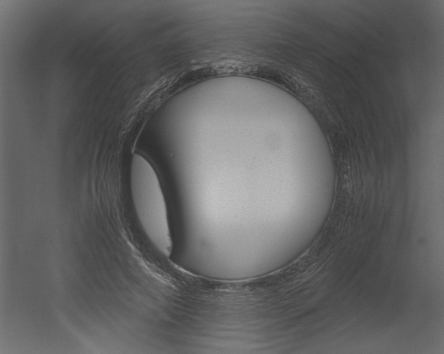 X0000052920690200507080801