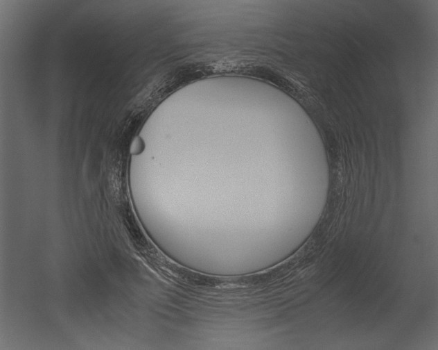 X0000052920691200507080801