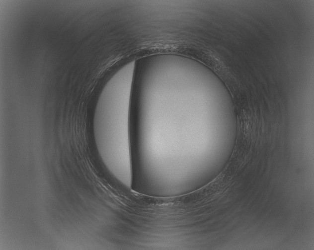 X0000052920692200507080801