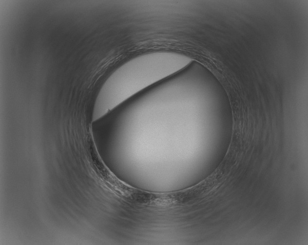 X0000052920696200507080801