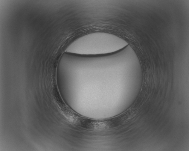 X0000052920698200507080801