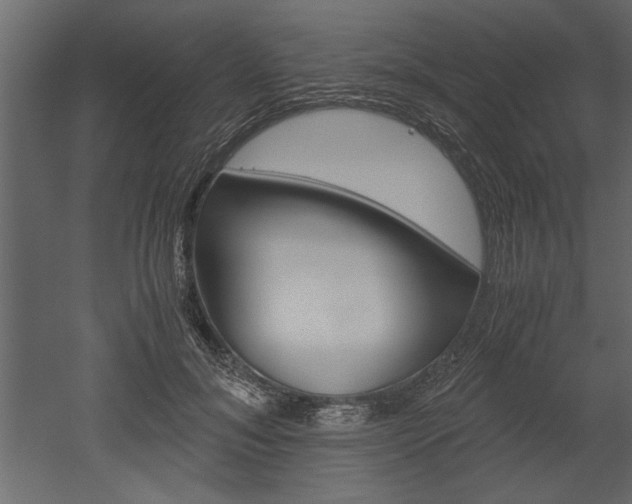 X0000052920700200507080801
