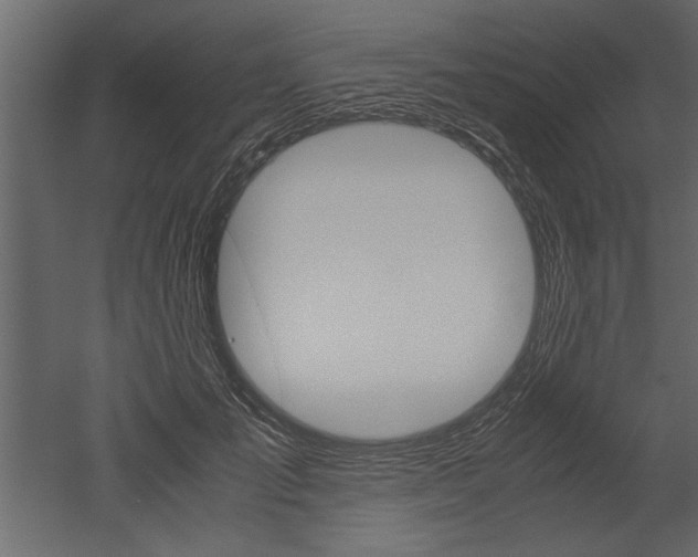 X0000052920701200507080801
