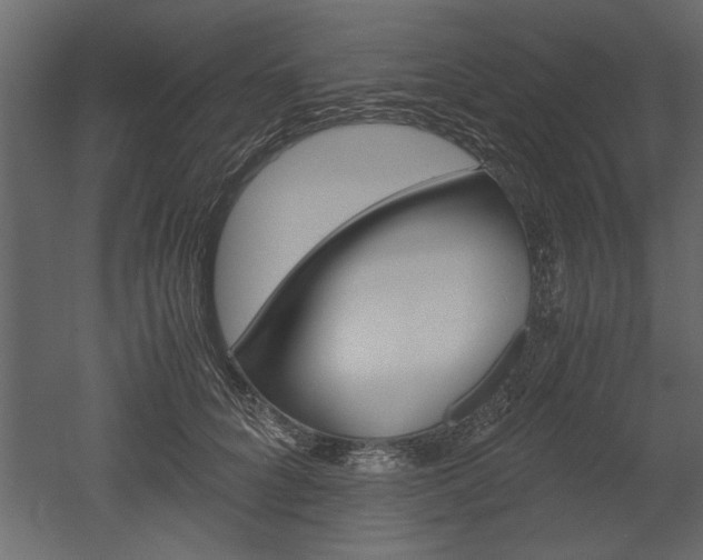 X0000052920704200507080801