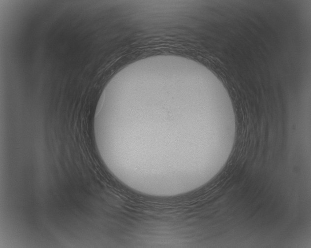 X0000052920705200507080801