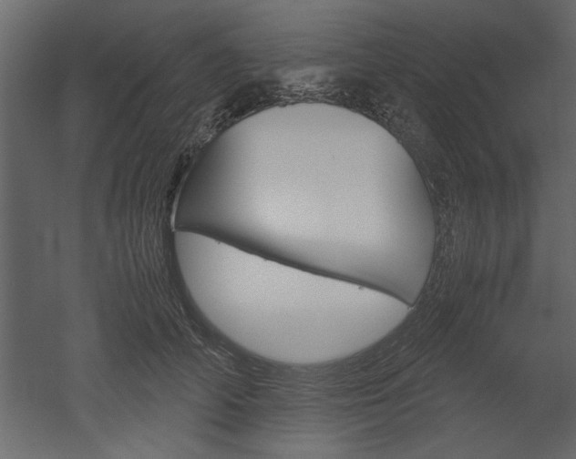 X0000052920706200507080801