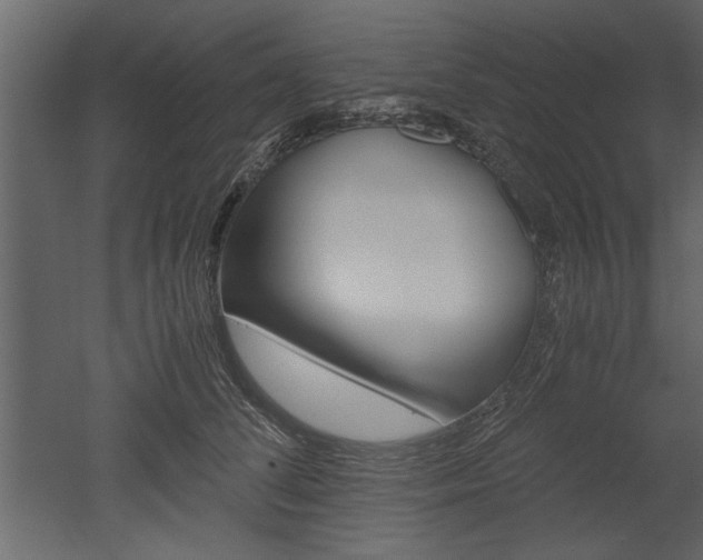X0000052920708200507080801