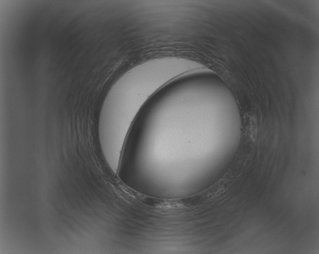 X0000052920712200507080801