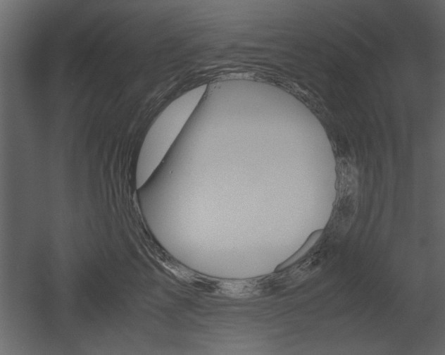 X0000052920713200507080801